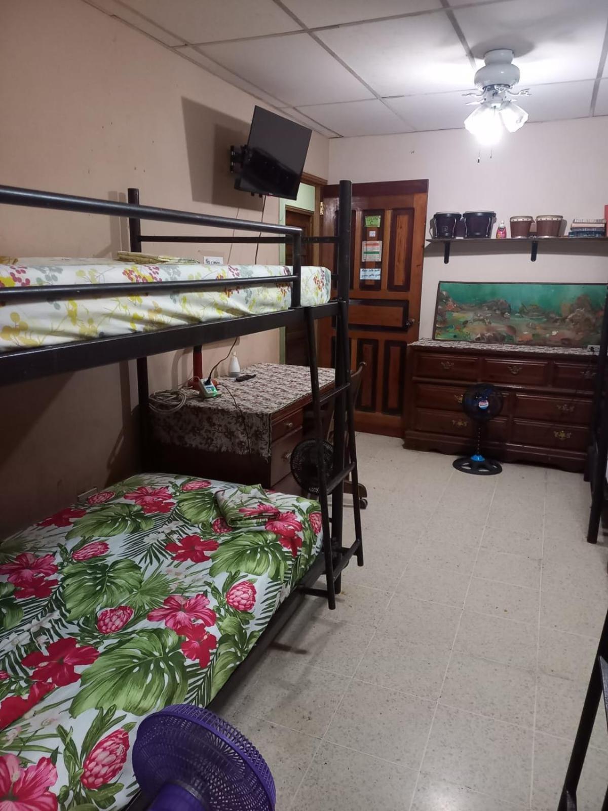 Pacasa Hostel Давид Екстер'єр фото