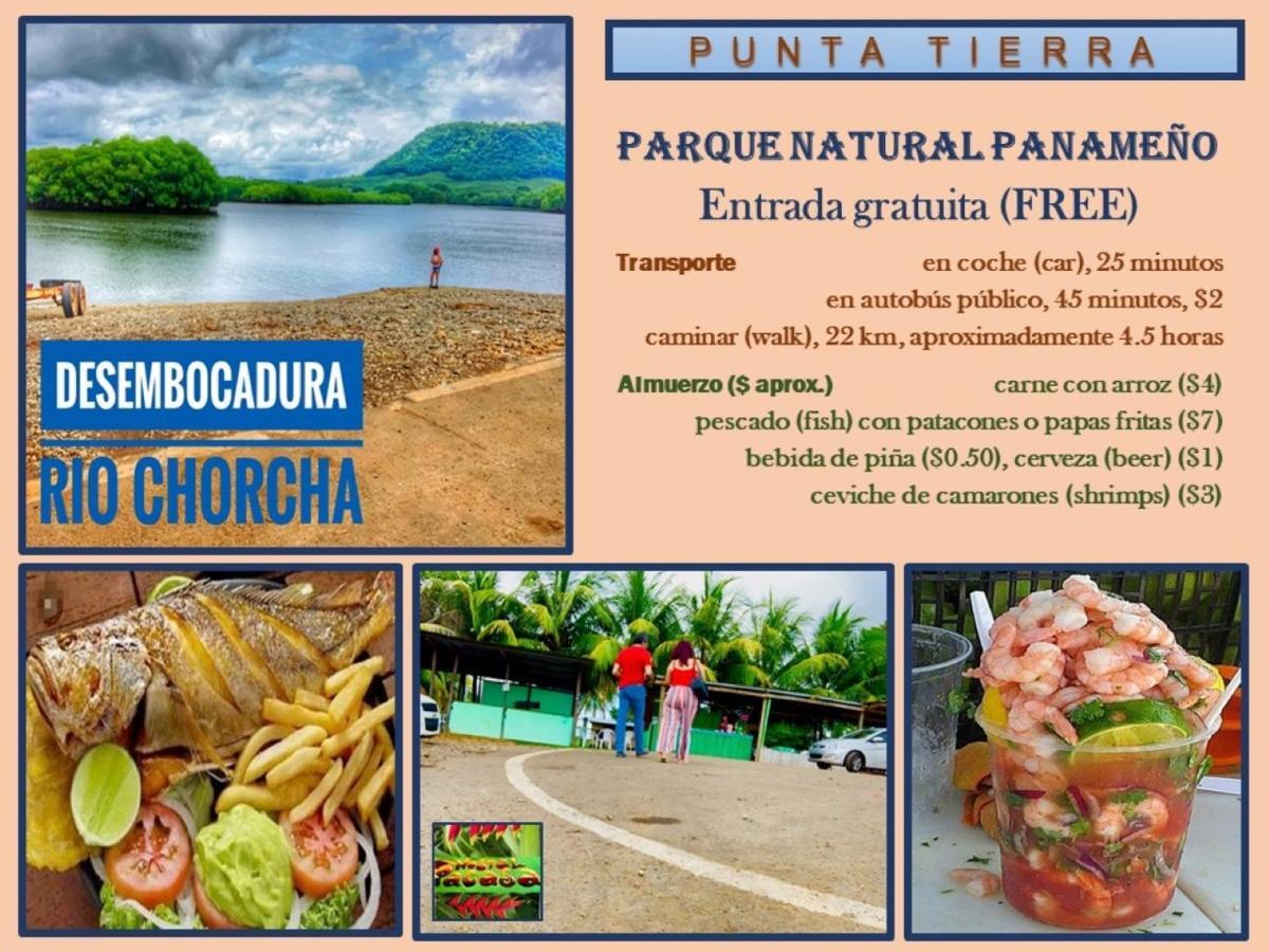 Pacasa Hostel Давид Екстер'єр фото