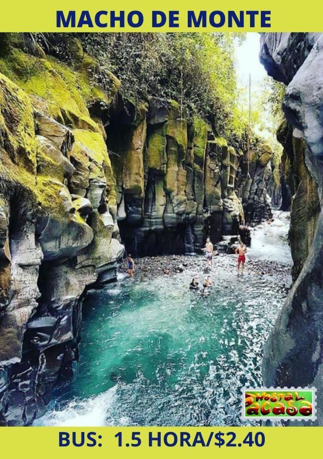 Pacasa Hostel Давид Екстер'єр фото